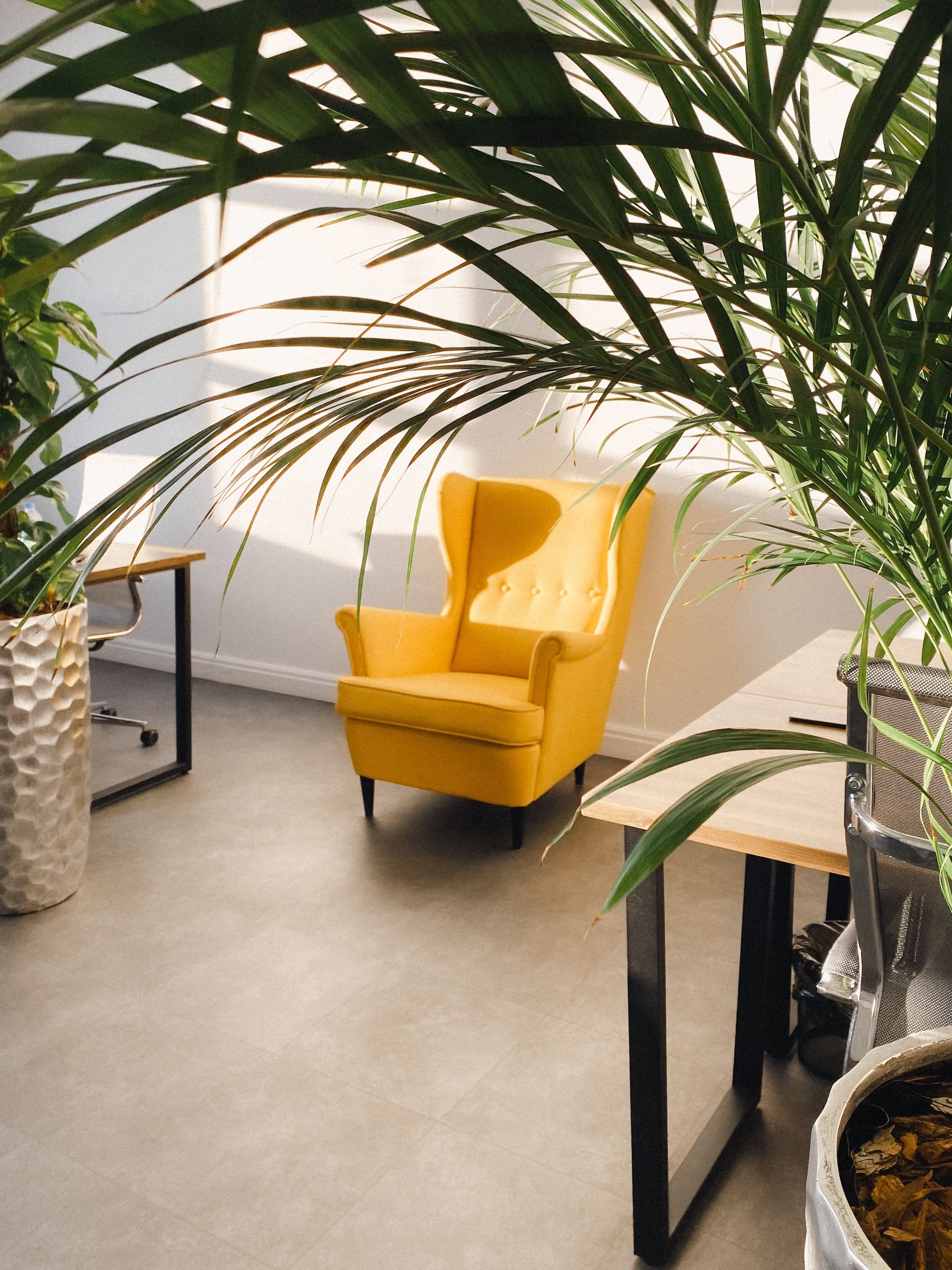 Bright professional studio workspace